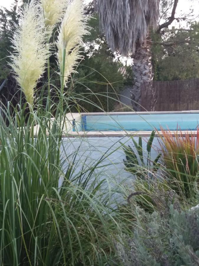 Villa Los Angeles Piscine Privee Pour 20 Personnes Сан Матеу Екстериор снимка