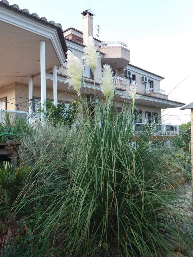 Villa Los Angeles Piscine Privee Pour 20 Personnes Сан Матеу Екстериор снимка